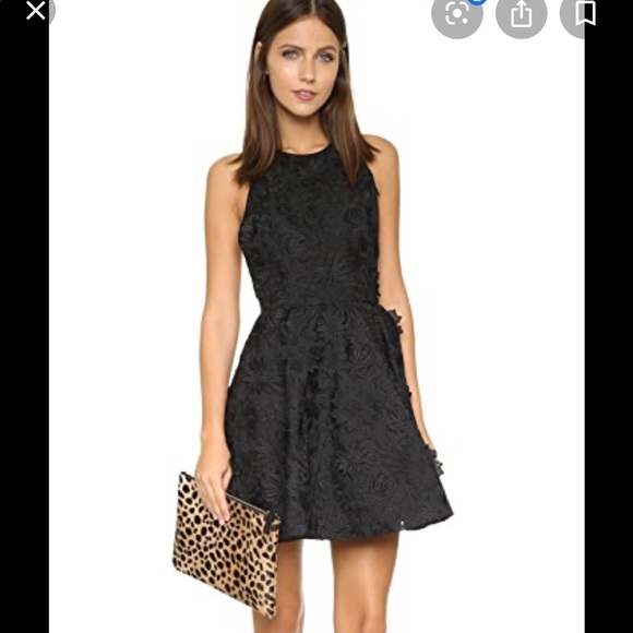 Alice + Olivia Dresses & Skirts - Alice & Olivia 🔥Tevin Appliqué Dress 12